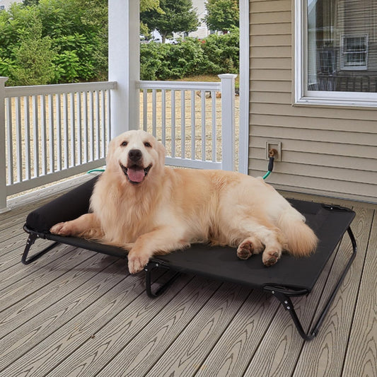 Outdoor Dog Bed,Dog Cot,Dog Beds Large Sized Dog  (Large)